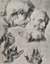 Raphael-drawings (54).JPG